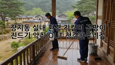 장지동🏡 실내 환경 지킴이! 곰팡이, 진드기, 악취 OUT! #청결한우리집