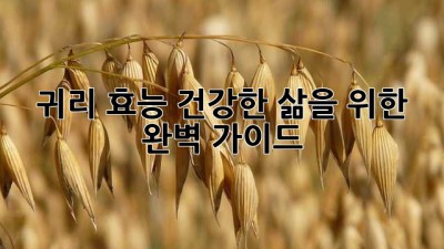 귀리 효능: 건강한 삶을 위한 완벽 가이드