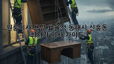 원룸이사 용달 효율적! 동해시 신흥동 최저가 이사 가이드 ✨